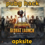 pubg hack