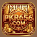 pkr656.com