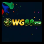 WG88.com