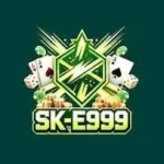 e999 APK
